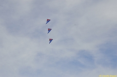 Venice kite festival_0557